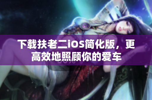 下载扶老二iOS简化版，更高效地照顾你的爱车