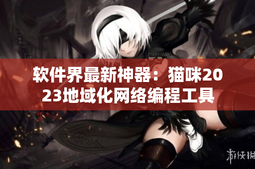 软件界最新神器：猫咪2023地域化网络编程工具