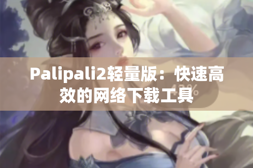 Palipali2轻量版：快速高效的网络下载工具