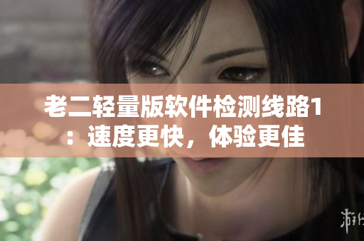老二轻量版软件检测线路1：速度更快，体验更佳