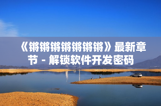 《锵锵锵锵锵锵锵》最新章节－解锁软件开发密码