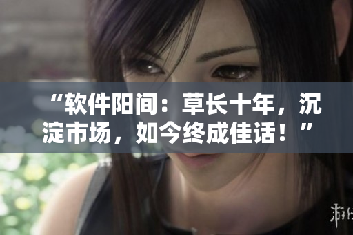 “软件阳间：草长十年，沉淀市场，如今终成佳话！”