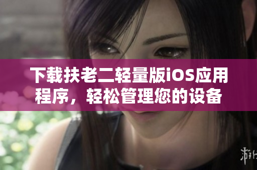 下载扶老二轻量版iOS应用程序，轻松管理您的设备