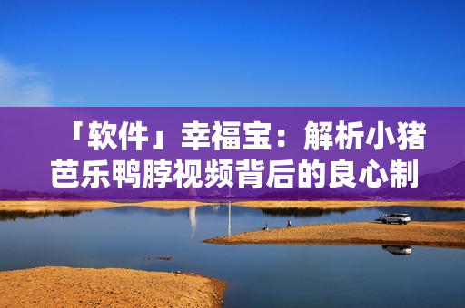 「软件」幸福宝：解析小猪芭乐鸭脖视频背后的良心制作技巧