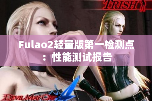 Fulao2轻量版第一检测点：性能测试报告