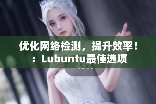 优化网络检测，提升效率！：Lubuntu最佳选项