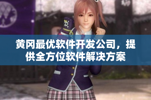黄冈最优软件开发公司，提供全方位软件解决方案