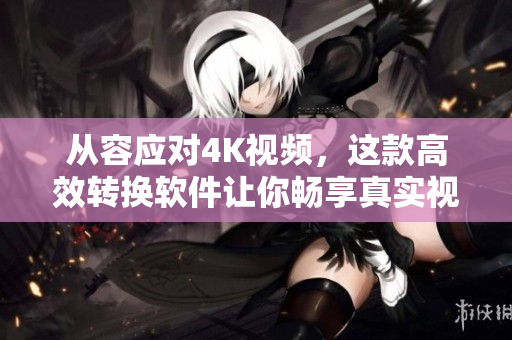 从容应对4K视频，这款高效转换软件让你畅享真实视觉盛宴