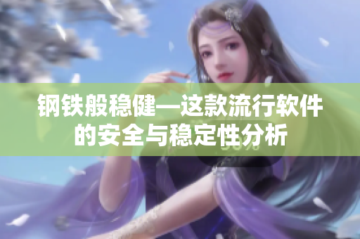 钢铁般稳健—这款流行软件的安全与稳定性分析