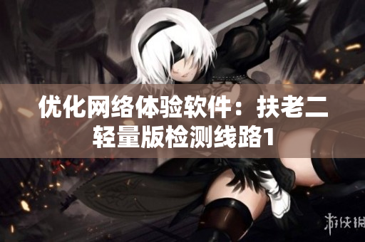 优化网络体验软件：扶老二轻量版检测线路1