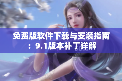 免费版软件下载与安装指南：9.1版本补丁详解