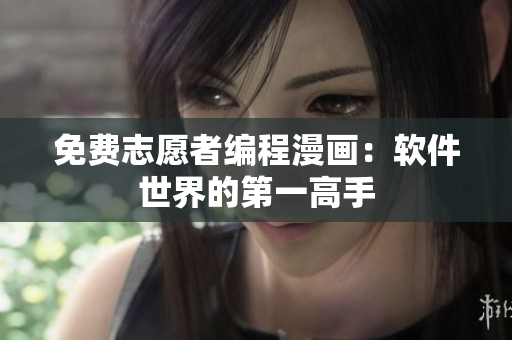 免费志愿者编程漫画：软件世界的第一高手