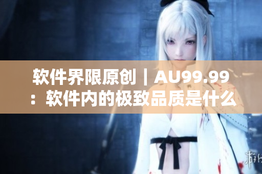 软件界限原创｜AU99.99：软件内的极致品质是什么？