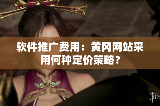 软件推广费用：黄冈网站采用何种定价策略？