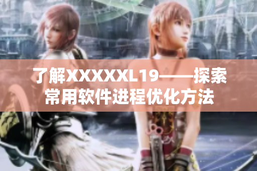 了解XXXXXL19——探索常用软件进程优化方法