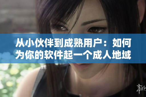 从小伙伴到成熟用户：如何为你的软件起一个成人地域网名？