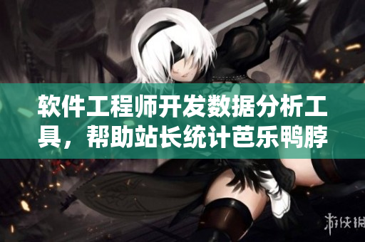 软件工程师开发数据分析工具，帮助站长统计芭乐鸭脖小猪的销售数据