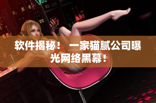 软件揭秘！ 一家猫腻公司曝光网络黑幕！