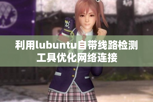 利用lubuntu自带线路检测工具优化网络连接