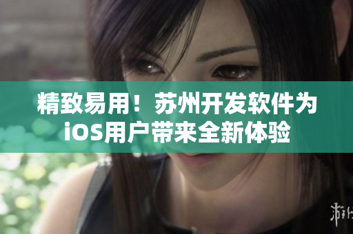 精致易用！苏州开发软件为iOS用户带来全新体验