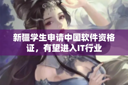 新疆学生申请中国软件资格证，有望进入IT行业
