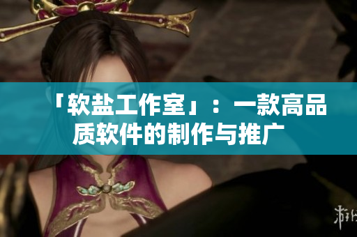 「软盐工作室」：一款高品质软件的制作与推广