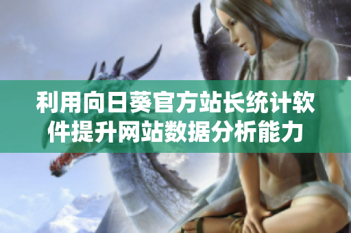 利用向日葵官方站长统计软件提升网站数据分析能力