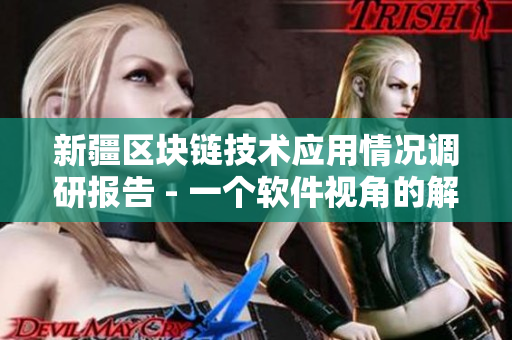 新疆区块链技术应用情况调研报告 - 一个软件视角的解读