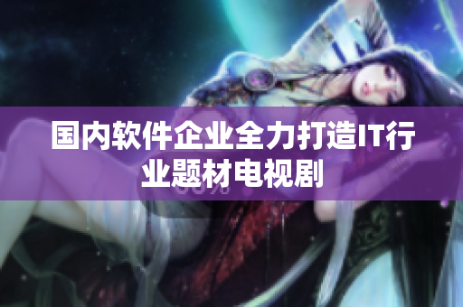 国内软件企业全力打造IT行业题材电视剧