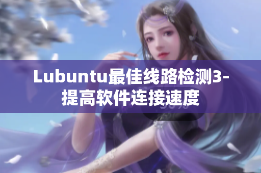 Lubuntu最佳线路检测3-提高软件连接速度