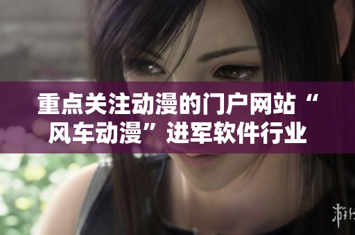 重点关注动漫的门户网站“风车动漫”进军软件行业