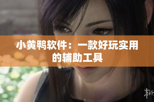 小黄鸭软件：一款好玩实用的辅助工具