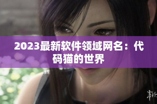 2023最新软件领域网名：代码猫的世界
