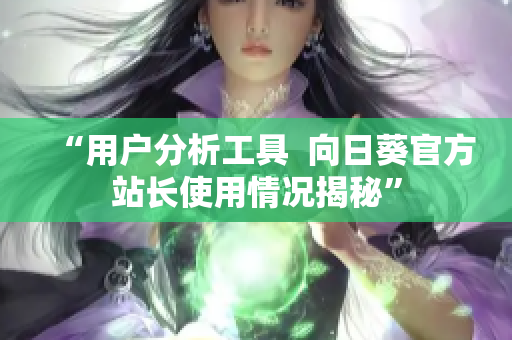 “用户分析工具  向日葵官方站长使用情况揭秘”