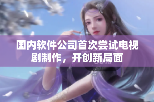 国内软件公司首次尝试电视剧制作，开创新局面