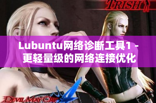 Lubuntu网络诊断工具1 - 更轻量级的网络连接优化方案