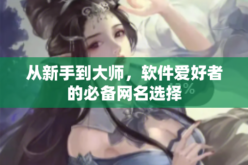 从新手到大师，软件爱好者的必备网名选择