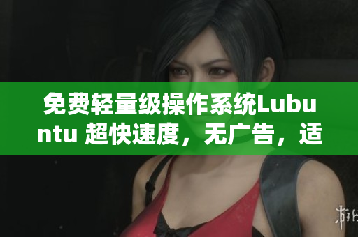 免费轻量级操作系统Lubuntu 超快速度，无广告，适合老电脑！