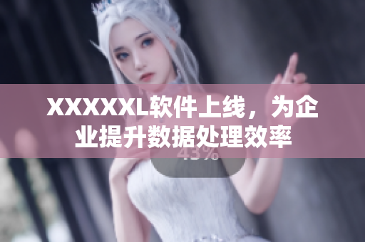 XXXXXL软件上线，为企业提升数据处理效率