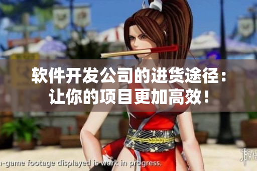 软件开发公司的进货途径：让你的项目更加高效！