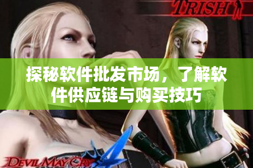 探秘软件批发市场，了解软件供应链与购买技巧