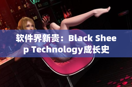 软件界新贵：Black Sheep Technology成长史