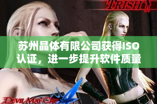 苏州晶体有限公司获得ISO认证，进一步提升软件质量