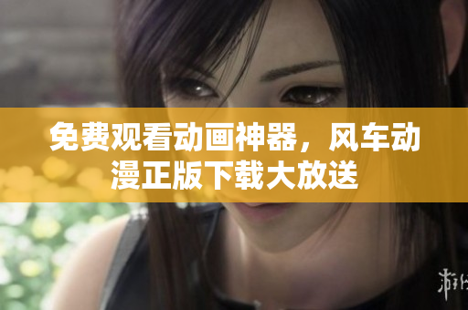 免费观看动画神器，风车动漫正版下载大放送