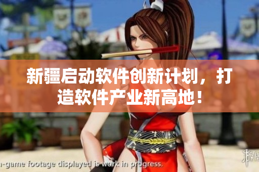 新疆启动软件创新计划，打造软件产业新高地！