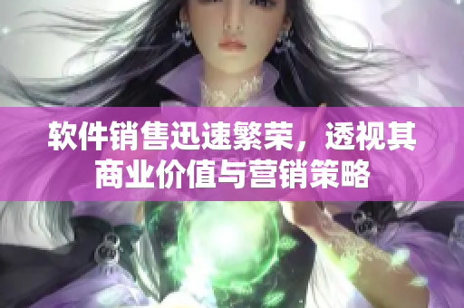 软件销售迅速繁荣，透视其商业价值与营销策略