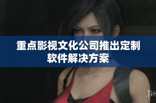 重点影视文化公司推出定制软件解决方案
