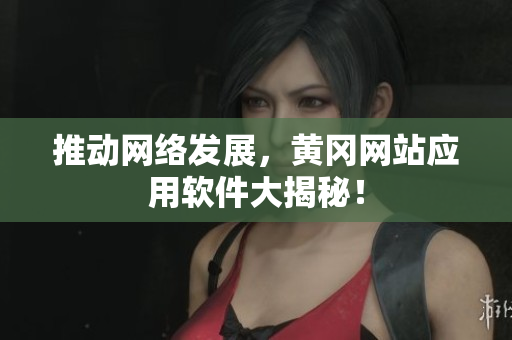 推动网络发展，黄冈网站应用软件大揭秘！