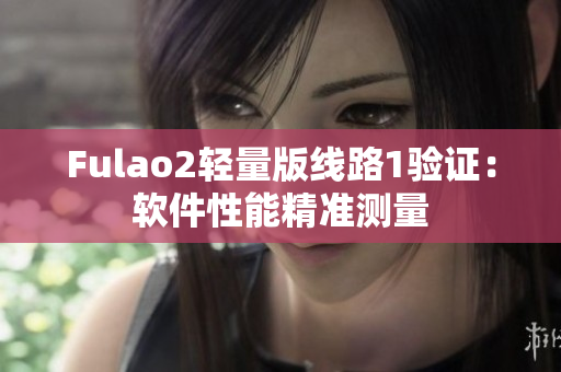 Fulao2轻量版线路1验证：软件性能精准测量