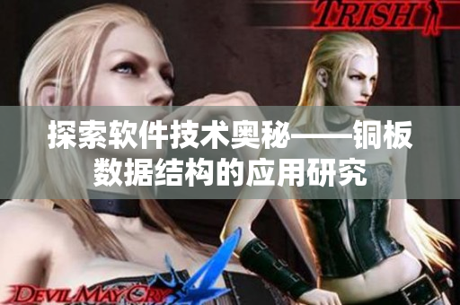 探索软件技术奥秘——铜板数据结构的应用研究